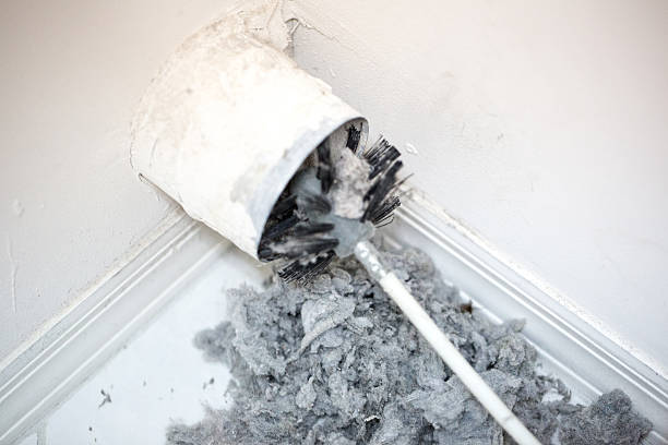 Air Duct Mold Removal in Caro, MI